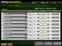 Click to play Virtual Racebook now!